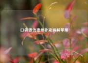 口袋德信德州扑克破解苹果