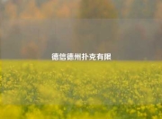 德信德州扑克有限