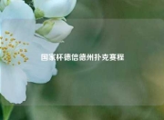国家杯德信德州扑克赛程