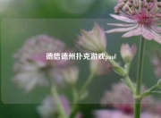 德信德州扑克游戏paul