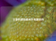 土豪的德信德州扑克激活码