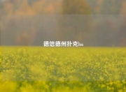 德信德州扑克hu
