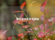德信德州扑扑克网站