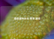 德信德州扑克 概率 赢钱