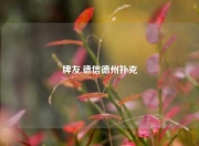 牌友.德信德州扑克