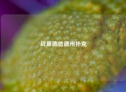 战鱼德信德州扑克