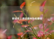 职业线上德信德州扑克赚钱