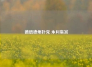 德信德州扑克 永利皇宫