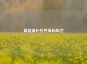 德信德州扑克筹码组合