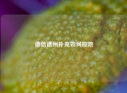 德信德州扑克如何控池