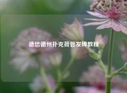 德信德州扑克荷管发牌教程