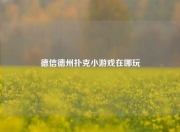 德信德州扑克小游戏在哪玩