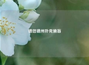 德信德州扑克偷盲