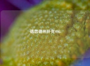 德信德州扑克SNG