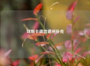 球斯卡德信德州扑克