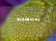 德信德州扑克分析仪