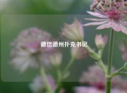 德信德州扑克书记