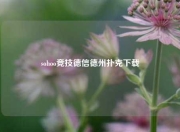 sohoo竞技德信德州扑克下载