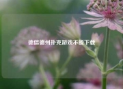 德信德州扑克游戏不能下载