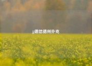 jj德信德州扑克
