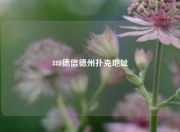 888德信德州扑克地址