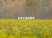 扑克王德信德州