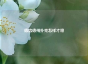 德信德州扑克怎样才稳