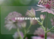 在线德信德州扑克源码