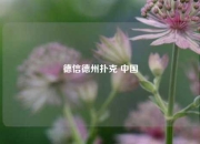 德信德州扑克 中国