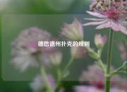 德信德州扑克的规则