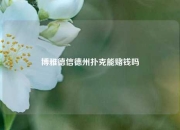 博雅德信德州扑克能赌钱吗