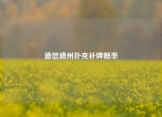 德信德州扑克补牌概率