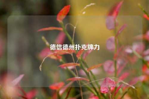 德信德州扑克牌力