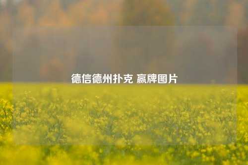 德信德州扑克 赢牌图片
