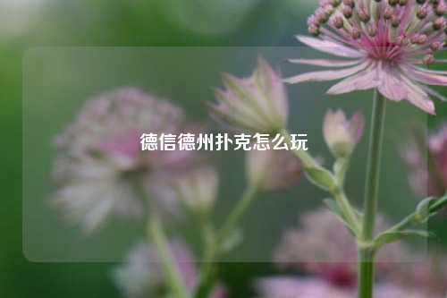 德信德州扑克怎么玩
