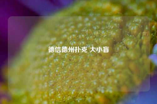 德信德州扑克 大小盲