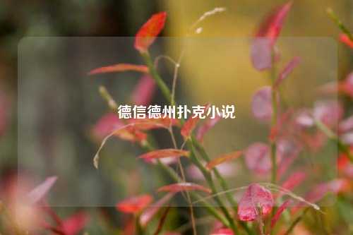 德信德州扑克小说
