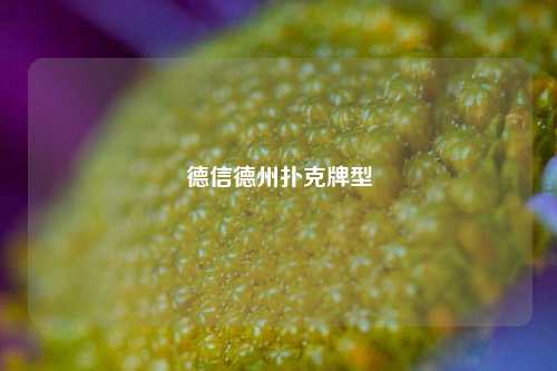 德信德州扑克牌型