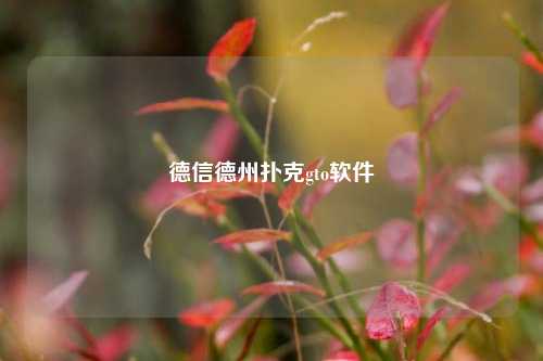 德信德州扑克gto软件