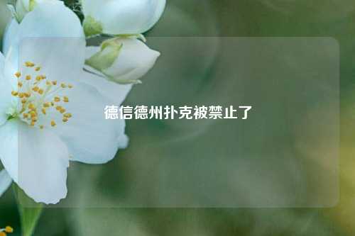 德信德州扑克被禁止了