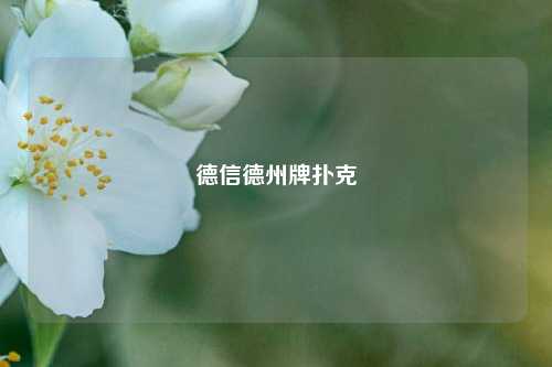 德信德州牌扑克