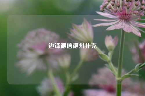 边锋德信德州扑克