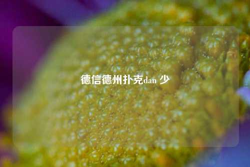 德信德州扑克dan 少