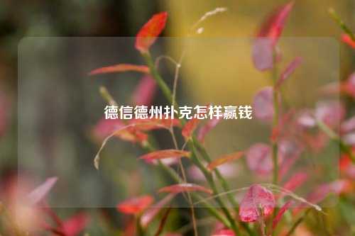 德信德州扑克怎样赢钱