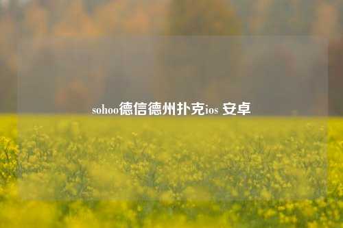 sohoo德信德州扑克ios 安卓