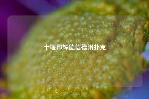 十堰邦辉德信德州扑克