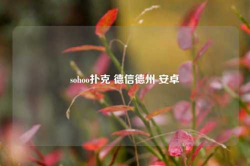 sohoo扑克 德信德州 安卓