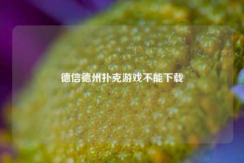 德信德州扑克游戏不能下载