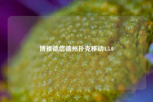 博雅德信德州扑克移动4.5.0