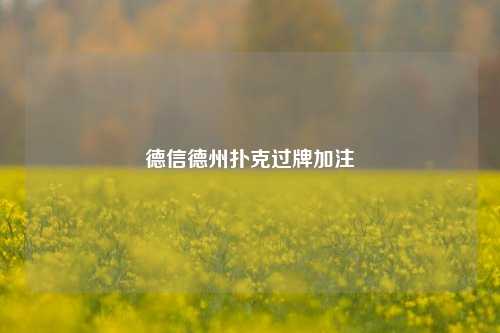 德信德州扑克过牌加注